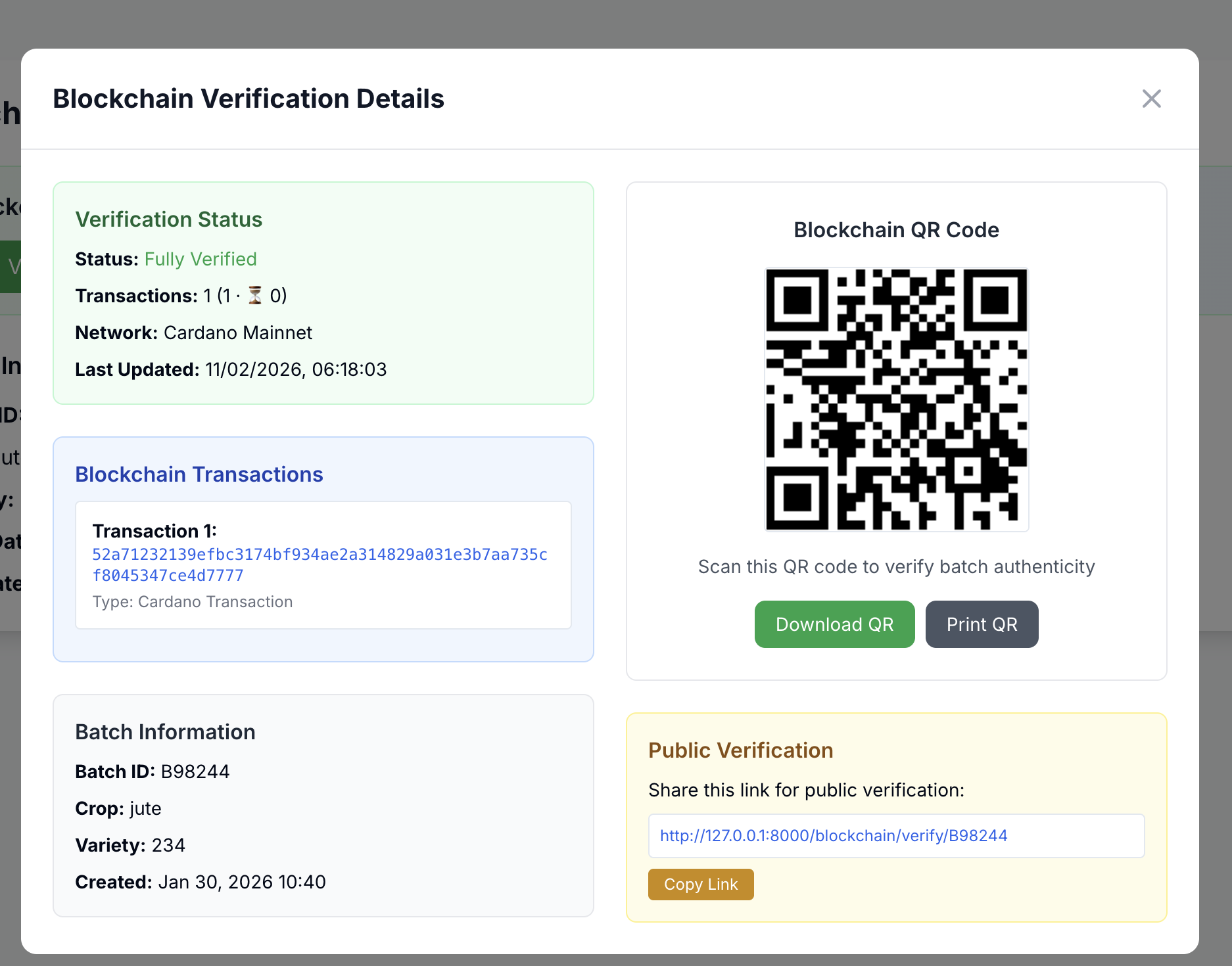 Blockchain Verification